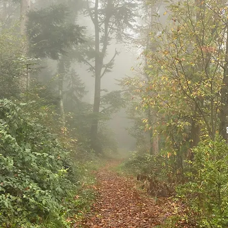 Ausblick 3* Badenweiler