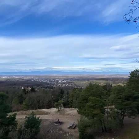 Ausblick * Badenweiler