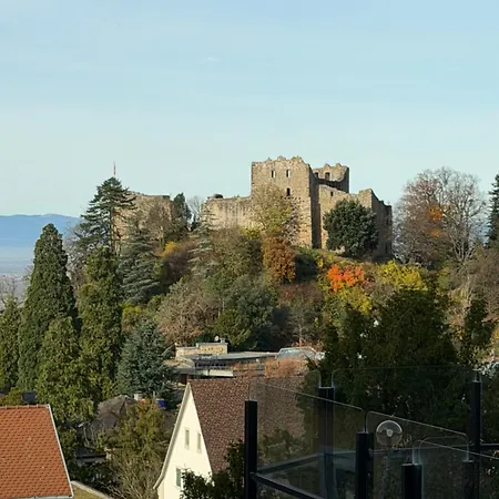 Ausblick 3* Badenweiler