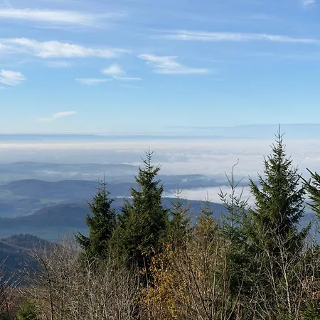 מלון דירות Ausblick 3*