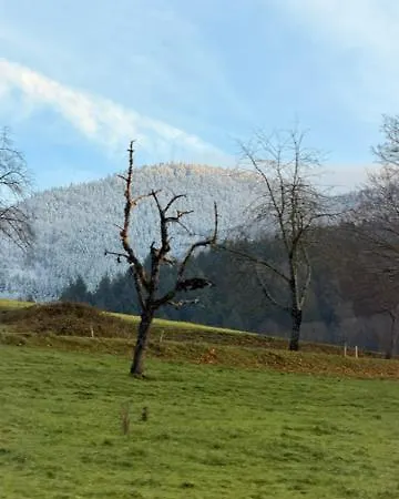 Lejlighedshotel Ausblick