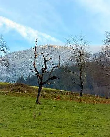 Aparthotel Ausblick 4*