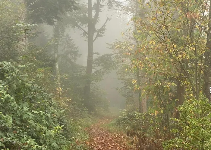 Ausblick 3* Badenweiler