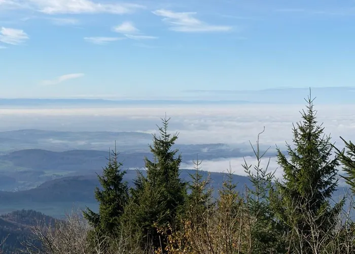 Hotel apartamentowy Ausblick 3*