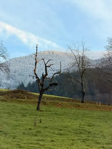 Hotel apartamentowy Ausblick